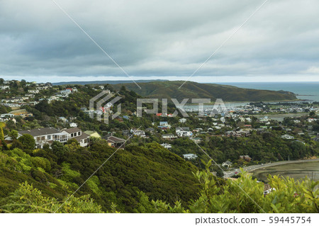 新西蘭Porirua三角帆峰會Look望台 59445754