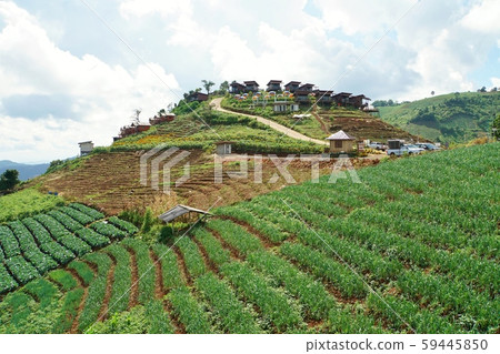 landscape, scenery, scenic 59445850