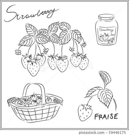 草莓套單色線條畫 59446175