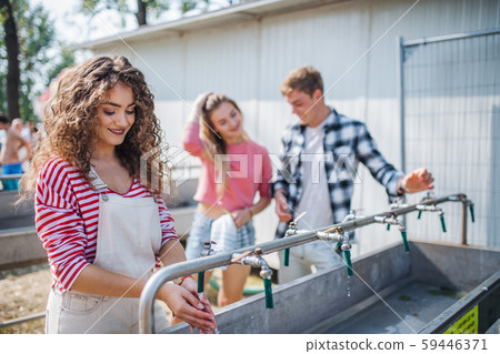 Group of young friends at summer festival, washing in the morning. 59446371