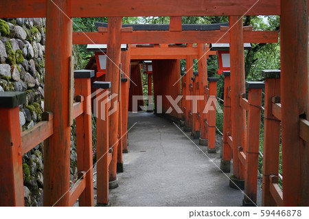 Landscape of Tsuwano Thousand Torii from Taikoya Inari Shrine Landscape of Tsuwano Thousand Torii from Taikoya Inari Shrine 59446878