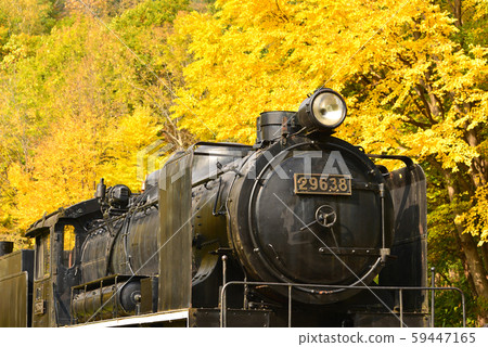 Autumn leaves in Hokkaido SL and autumn leaves Autumn leaves in Hokkaido SL and autumn leaves 59447165