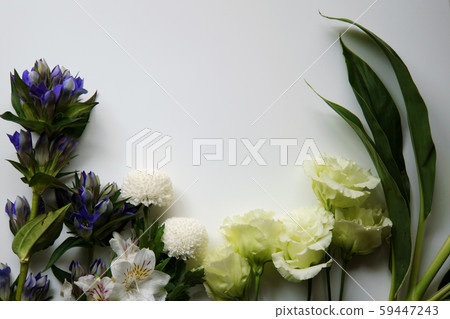 White and purple flowers frame White and purple flowers frame 59447243