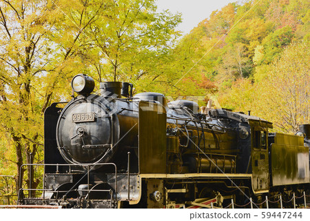 Autumn leaves in Hokkaido SL and autumn leaves Autumn leaves in Hokkaido SL and autumn leaves 59447244
