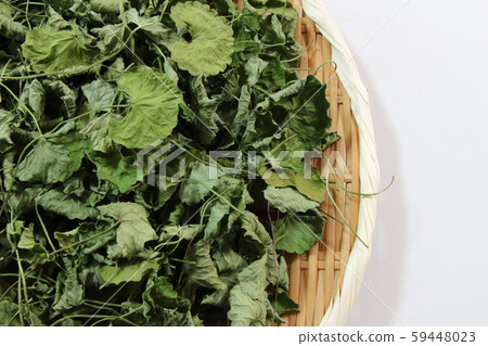 干豆蔻 干豆蔻 59448023