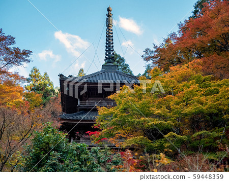 Kogenji in autumn leaves Kogenji in autumn leaves 59448359