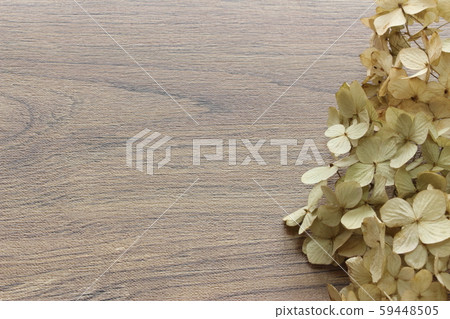 八仙花屬乾花 59448505