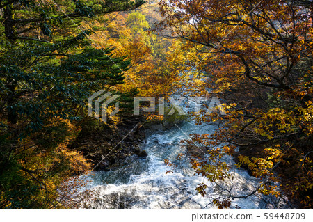 yu木瀑布附近的木日光湯河 59448709