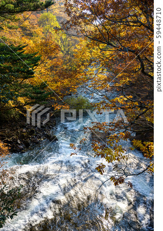 yu木瀑布附近的木日光湯河 59448710