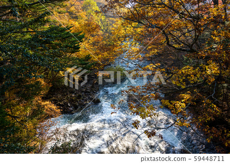 Tochigi Nikko Yukawa near Ryuzu Falls 59448711