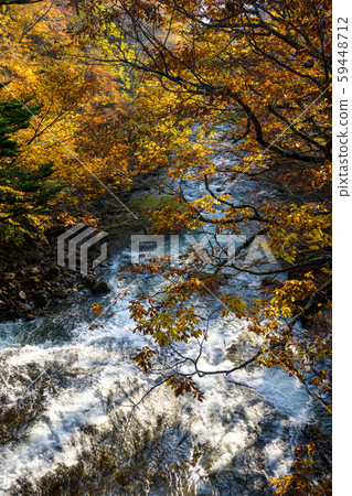 yu木瀑布附近的木日光湯河 59448712