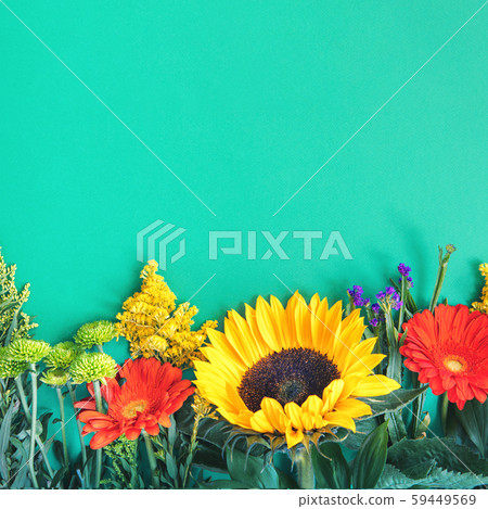 different colorful summer flowers lying on mint 59449569