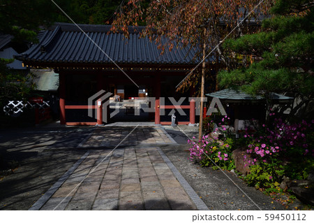 高野山的秋葉 59450112