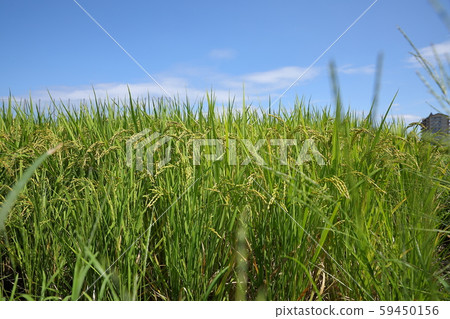 藍天和彩虹 藍天和彩虹 59450156