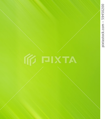 Abstract  green color and blurred background 59450200