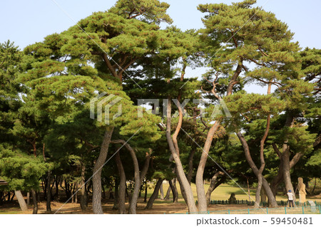 慶州皇家陵墓1427號寶藏 慶州皇家陵墓1427號寶藏 59450481