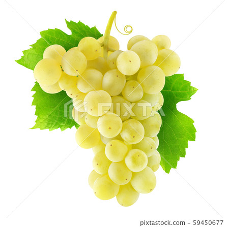 Isolated Thompson white grapes 59450677