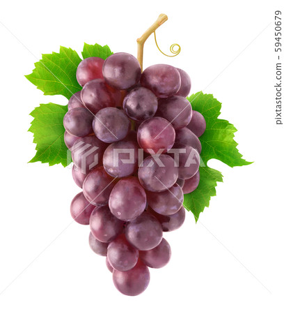 Isolated bunch of red grapes 59450679