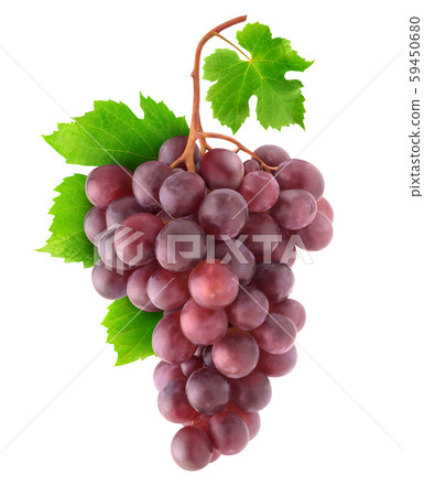 Isolated red grapes on a branch 59450680