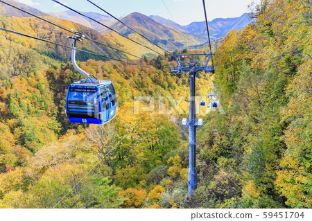 Naeba Kogen-Tashiro Kogen Autumn Naeba Kogen-Tashiro Kogen Autumn 59451704