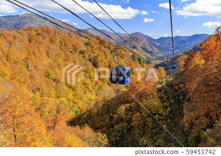 苗場高原-田代高原 苗場高原-田代高原 59451742