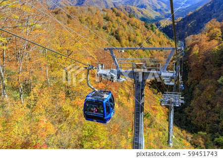 苗場高原-田代高原 苗場高原-田代高原 59451743