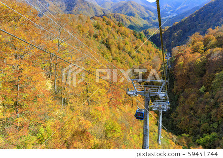 Naeba Kogen-Tashiro Kogen Autumn 59451744