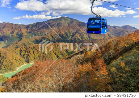 Naeba Kogen-Tashiro Kogen Autumn 59451750