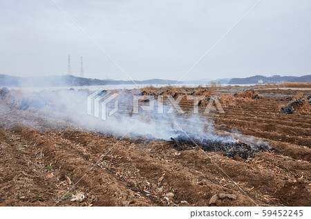 Non, Ganghwa-gun, Incheon 59452245