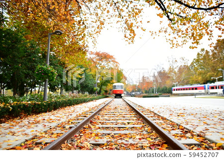 Autumn, Autumn, Autumnal 59452707