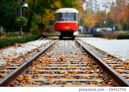 Autumn, Autumn, Autumnal 59452709