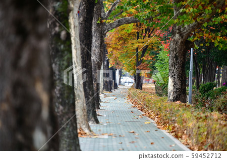 Autumn, Autumn, Autumnal 59452712