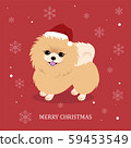 Card with pomeranian dog in Christmas santa hat. Lettering inscription. Vector Illustration. 59453549