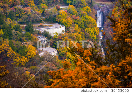 Okunikko Irohazaka Autumn leaves 59455000