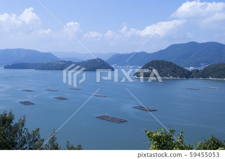 [Okayama Prefecture] Oyster culture raft 59455053