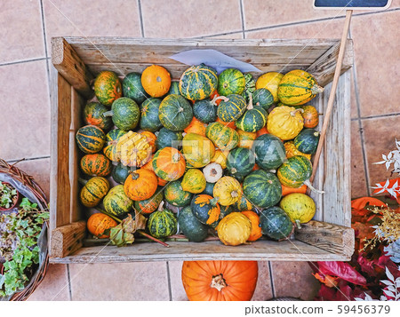 Variety of pumpkins in baskets and boxes for sale 59456379