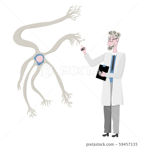 Neuron cells. Vector simple design illustartion. Neuron cells. Vector simple design illustartion. 59457135