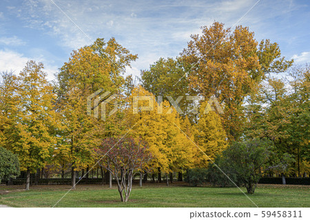 artistic autumn landscape. Aranjuez. Community of artistic autumn landscape. Aranjuez. Community of 59458311