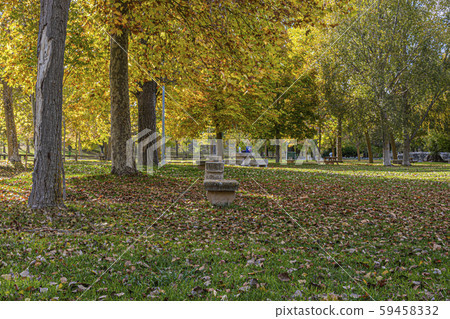 Chestnuts tree one autumn day. El Henar Cuellar. Chestnuts tree one autumn day. El Henar Cuellar. 59458332