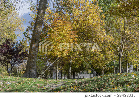 View from the floor in a field one autumn day. View from the floor in a field one autumn day. 59458333