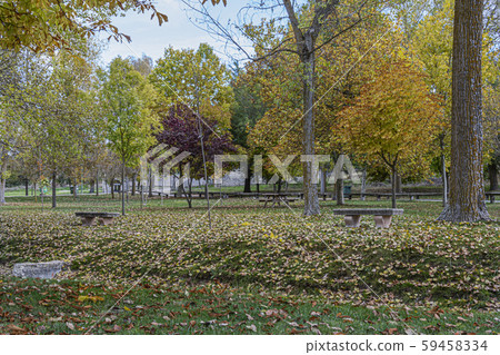 View of the Henar park one autumn day. Cuellar. 59458334