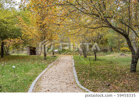 Autumn image in the Sierra de Navacerrada. Segovia 59458335