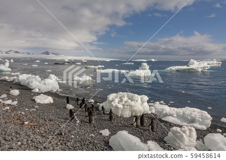 Brown Bluff on the Tabarin Peninsula - Antarctica 59458614