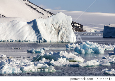 Icebergs and sea ice in the Weddell Sea - Antarctica 59458618