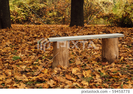 Bench in autumn park. Autumn landscape. Forest in Ukraine 59458778