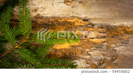 Fir tree on a wooden table close up 59459802