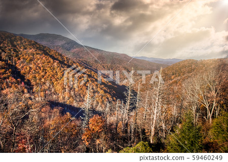 Dramatic sunrise with sun rays in Blue Ridge Parkway 59460249