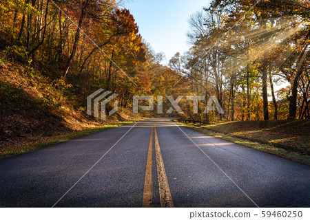 Vibrant colors in Blue Ridge Parkway roads during sunset at the Golden Hour 59460250