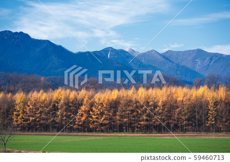 Tokachi in autumn 59460713