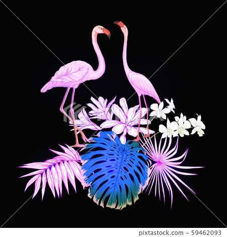 A composition of tropical plants, palm leaves A composition of tropical plants, palm leaves 59462093